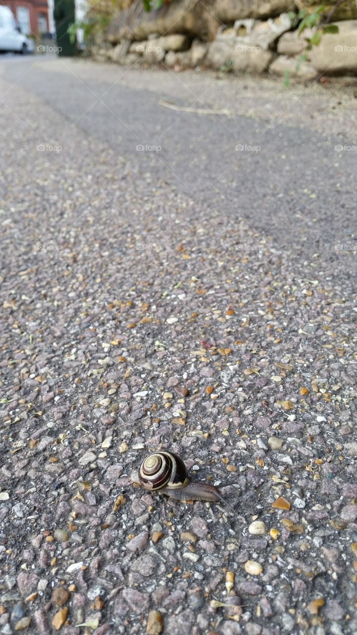 Asphalt, Nature, Desktop, Texture, Road