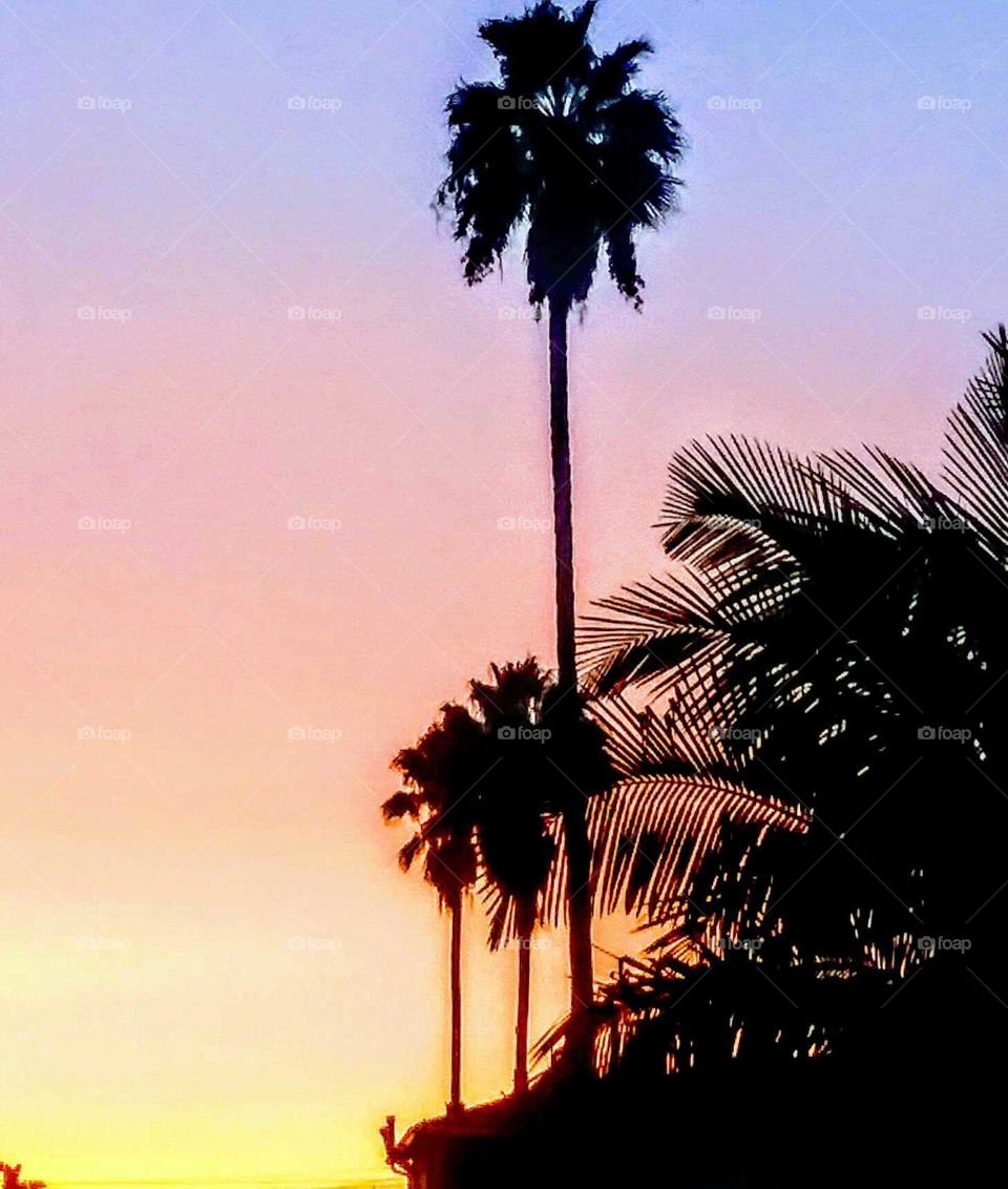 Stylized Sunset Silhouette