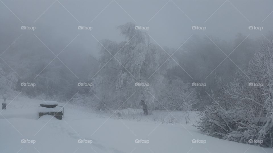 black and white . our climb was 1000 steps from the snow but it was just an uphill