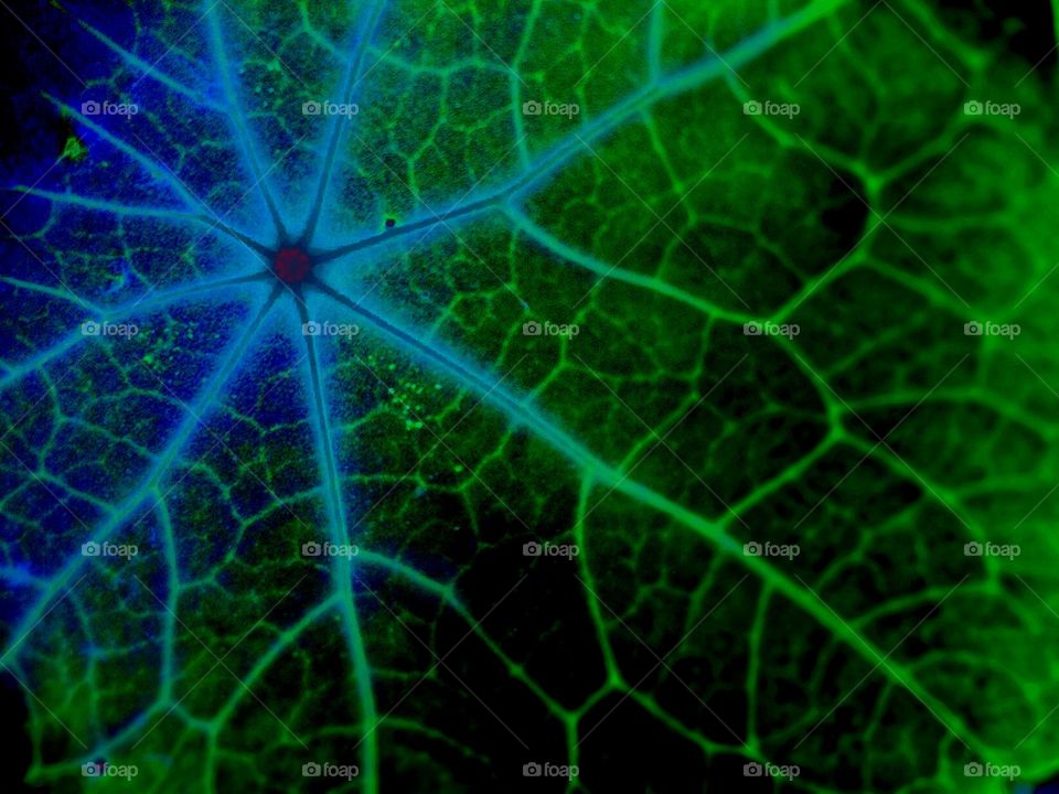 Desktop, Abstract, Texture, No Person, Science