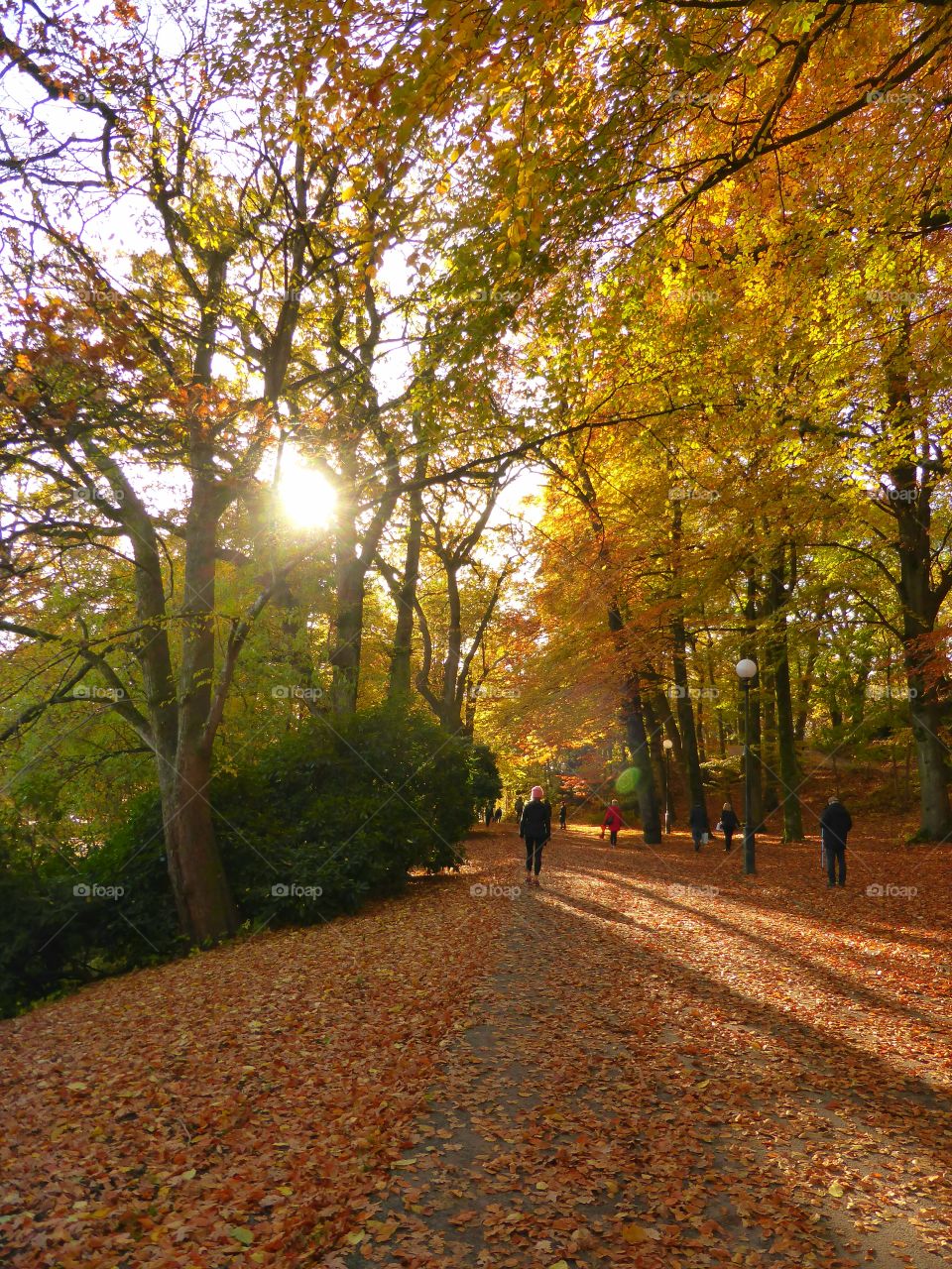 people enjoying the autumncolors in Slottskogen in Gothenburg