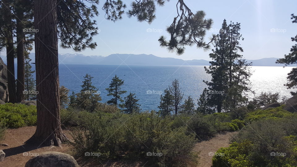 a view of Lake Tahoe through the trees with mountains in the background