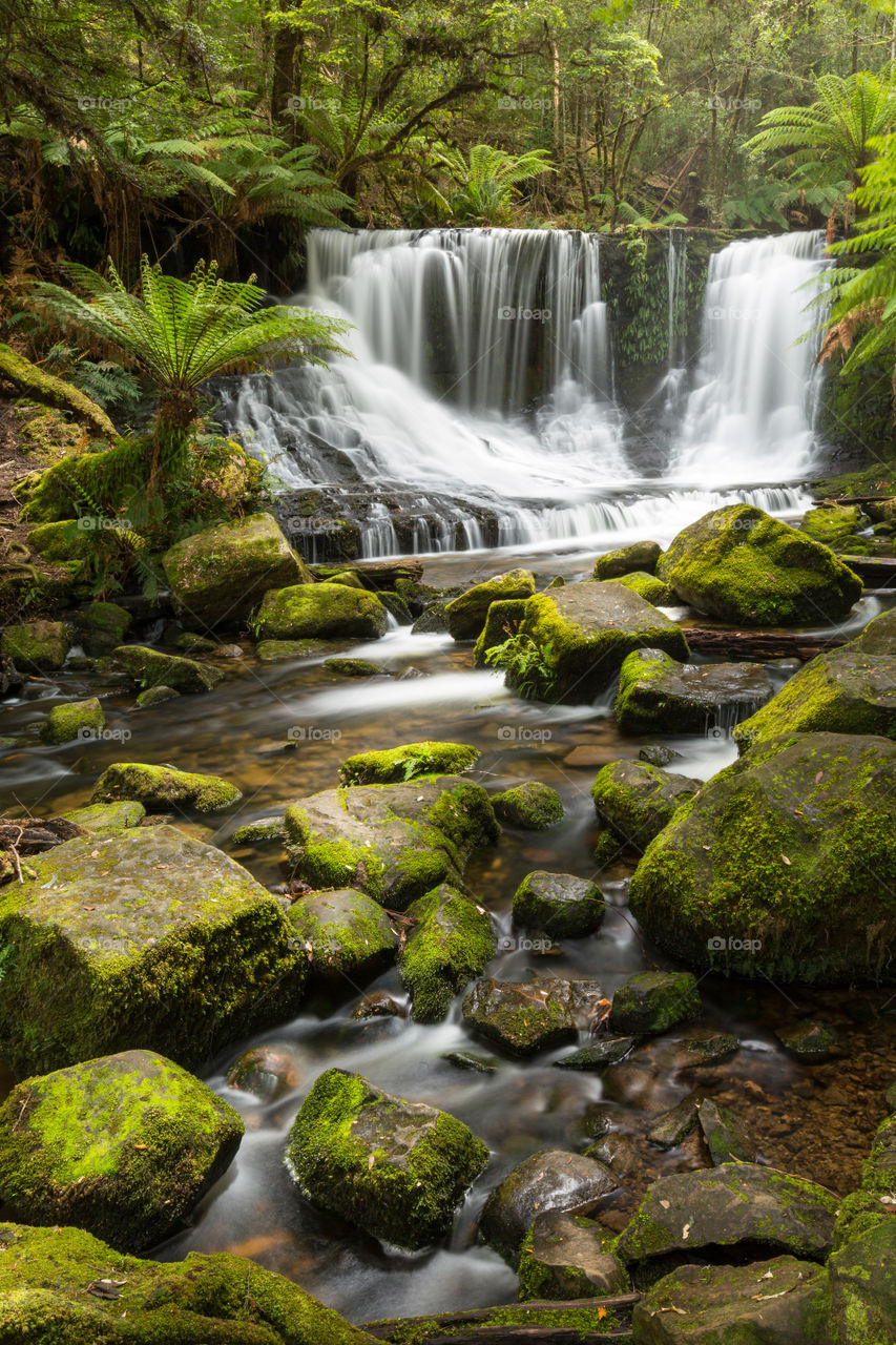 View of water fall from mossy rock in the forest