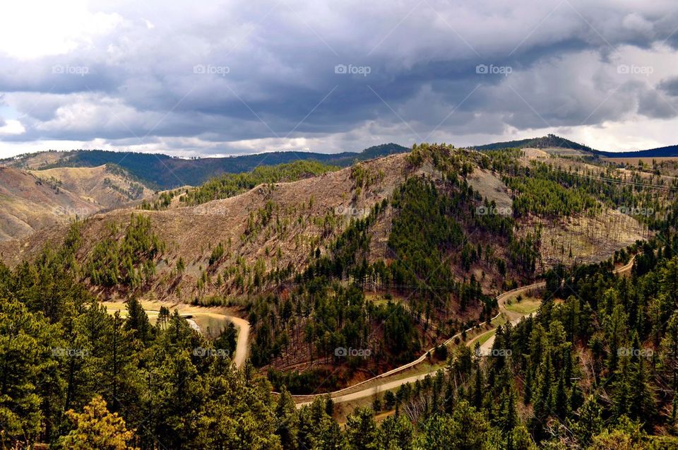 Black hills