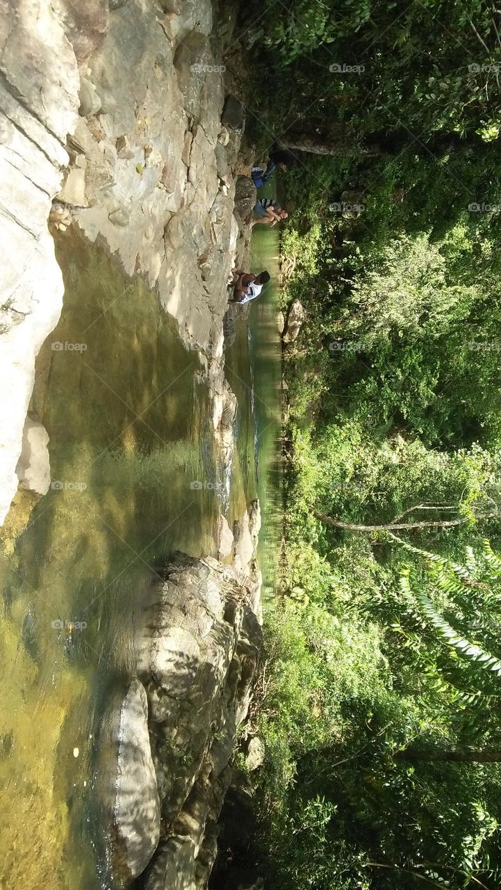 natural water pond captured