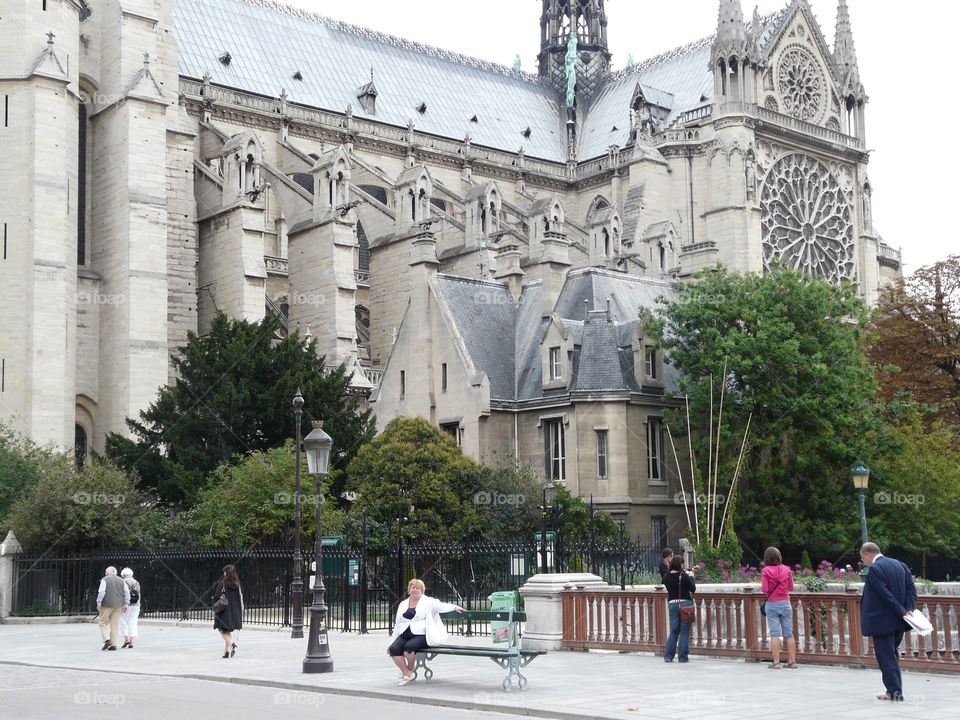 Catherdral of Our Lady of Paris