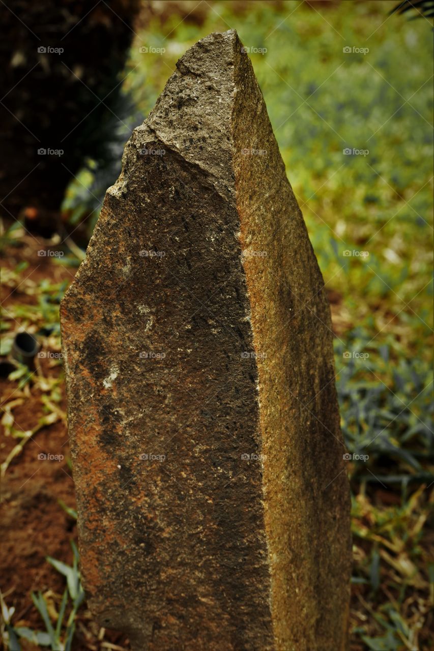 Stone in the garden / Pedra no jardim