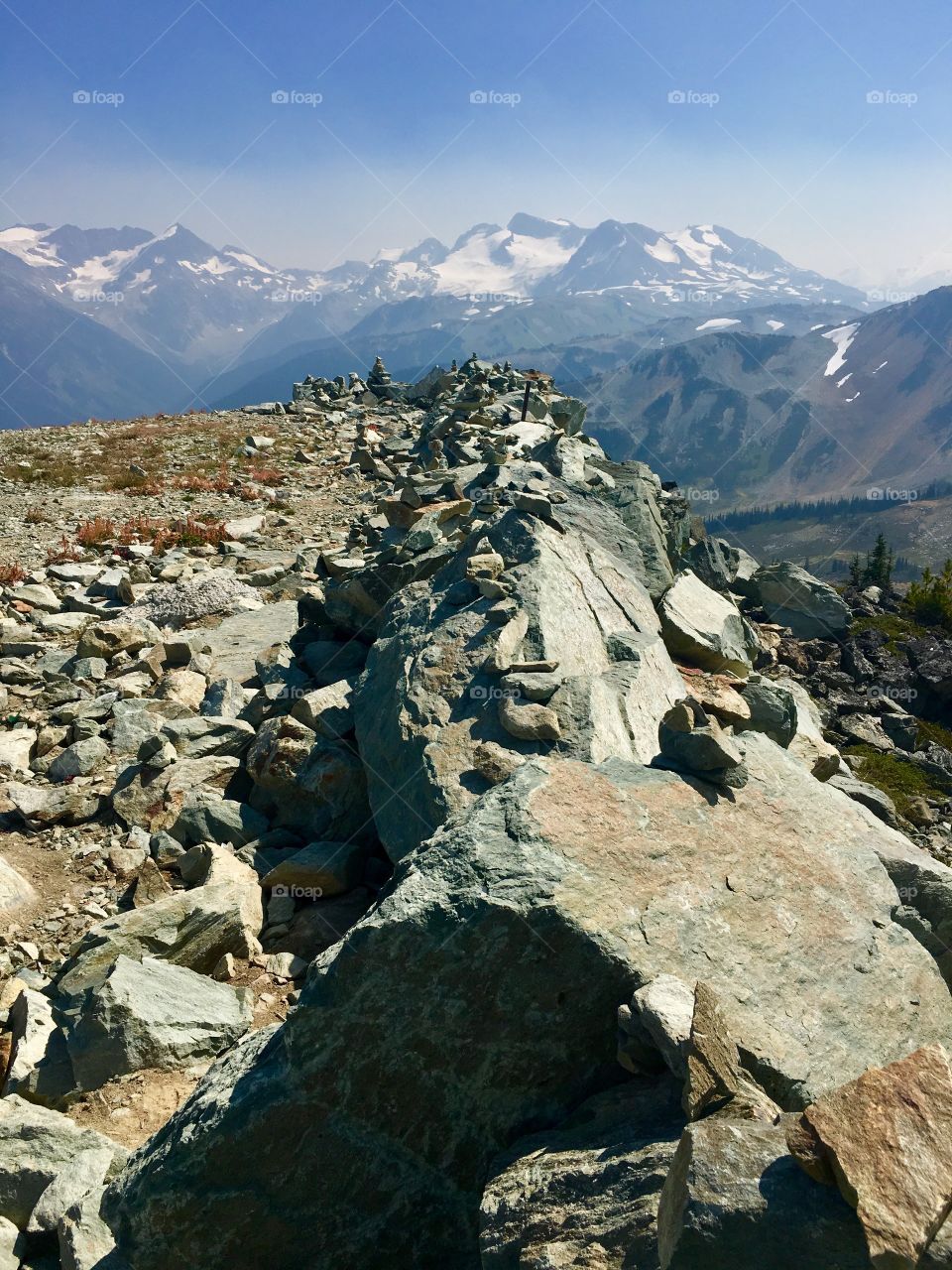 Whistler Mountain 