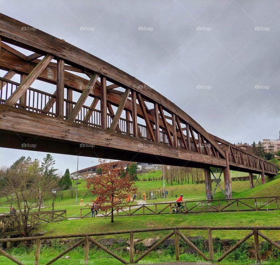 wooden bridge in nice park