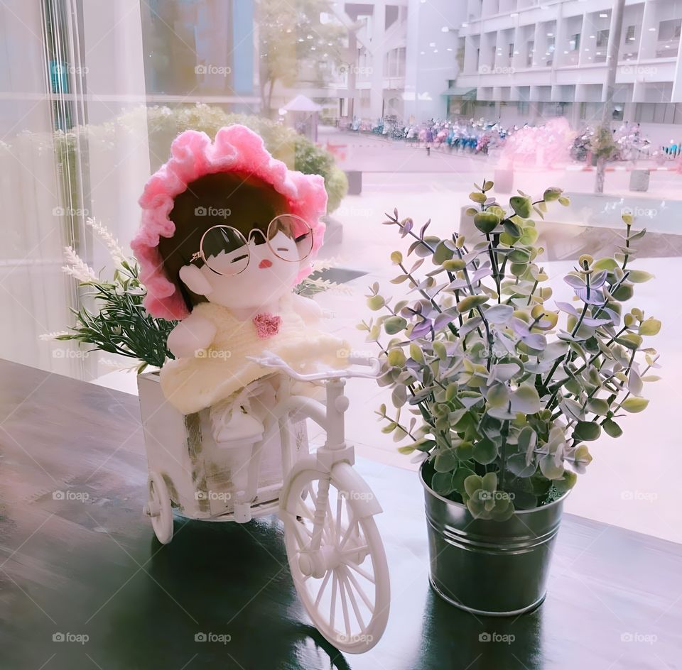 cute lovely dool on the white bicycle