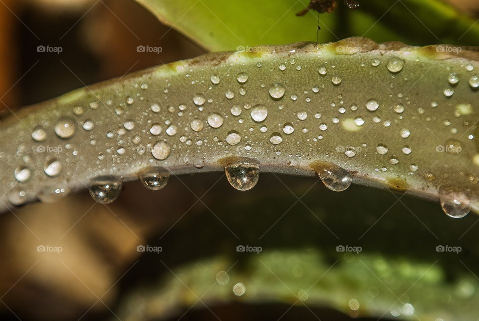 water drops 