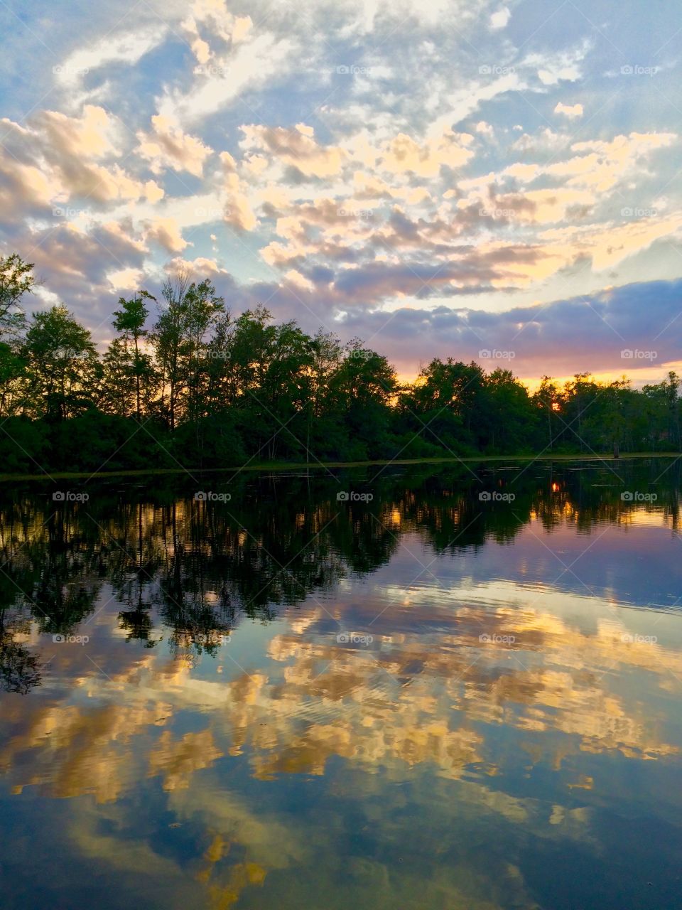 Pond