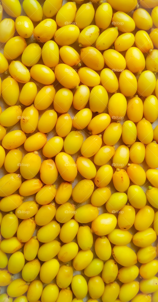 Neem fruits close up full frame for background