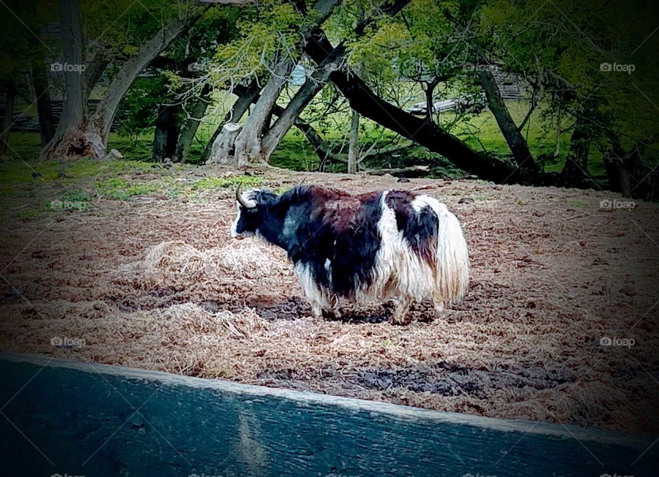 Driving the Back Roads and enjoying everything around us