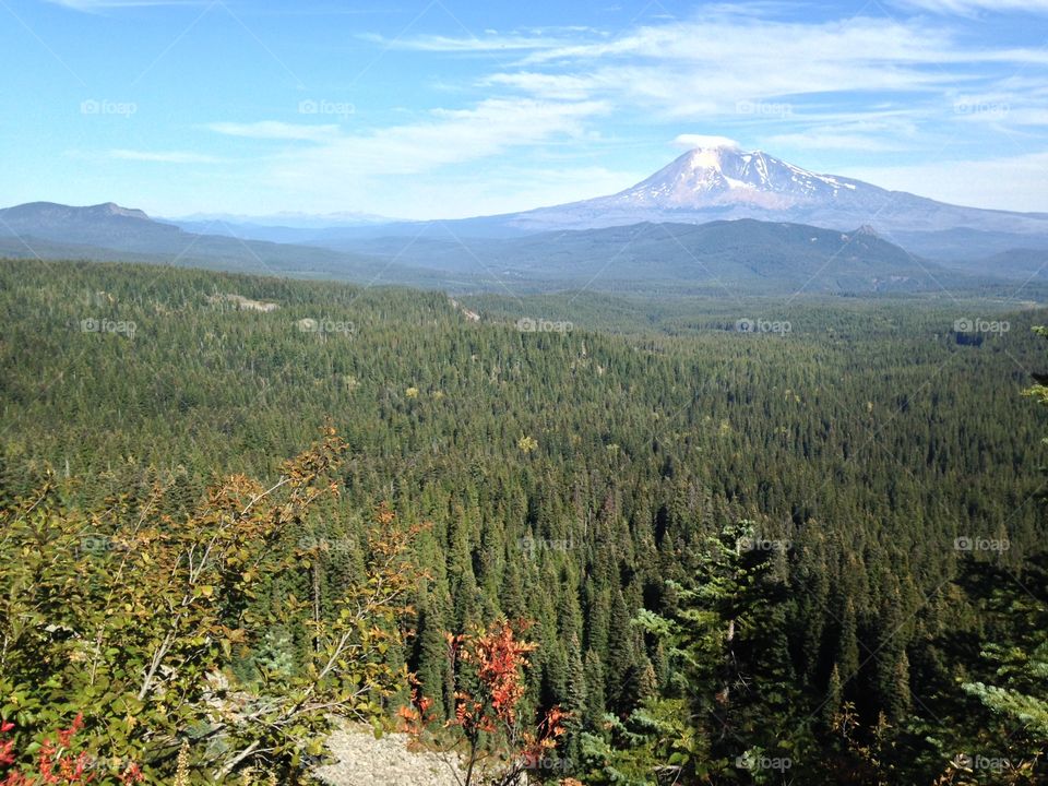 Mt. Adams, Washington.