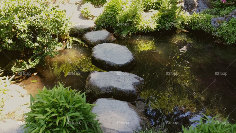 stone path thru Creek