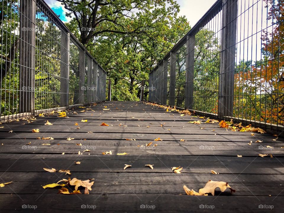 Fallen oak leaves on wooden bridge in autumn