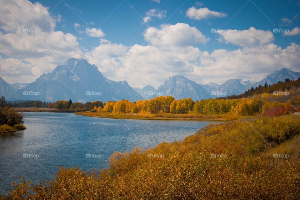 High angle view of nature