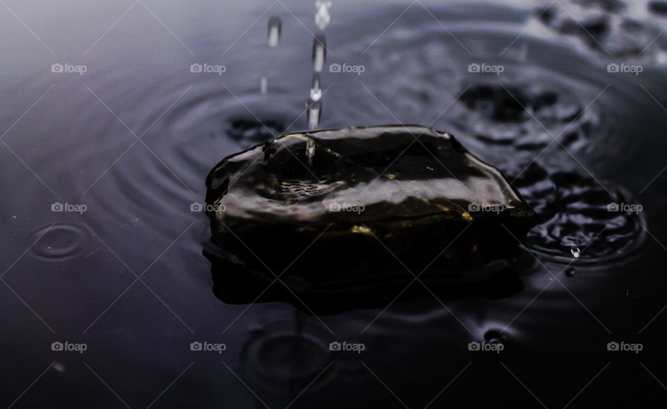 Rain on a pond