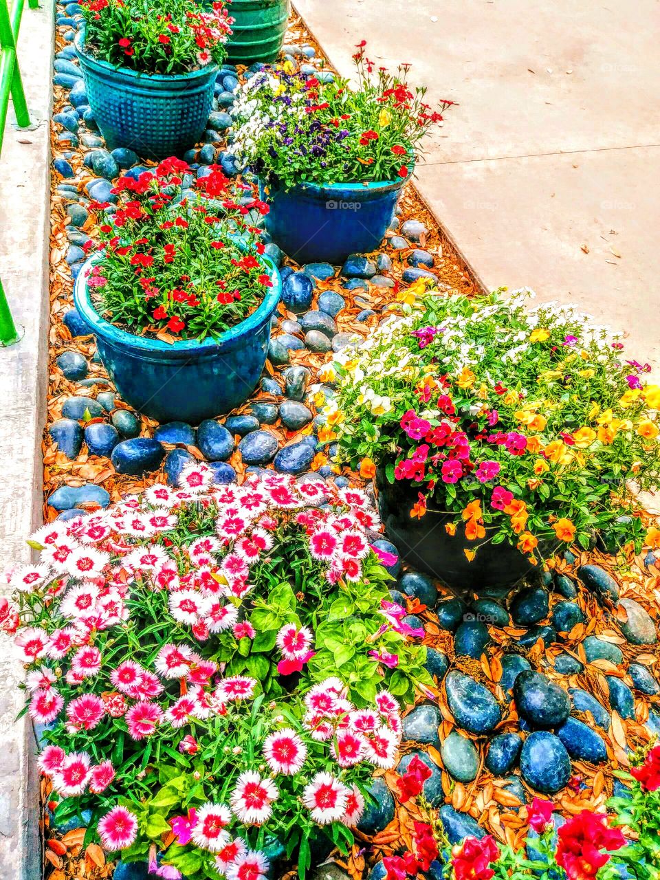 Flower pots - cartoon style