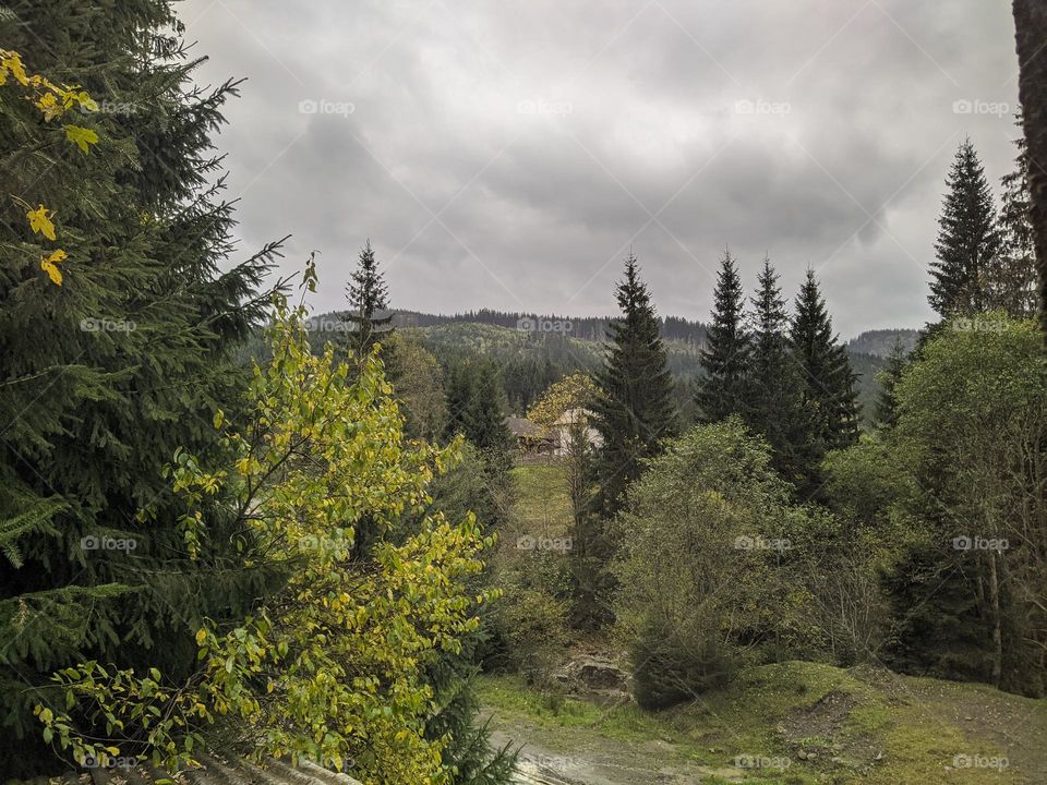 Carpathians (Ukraine).