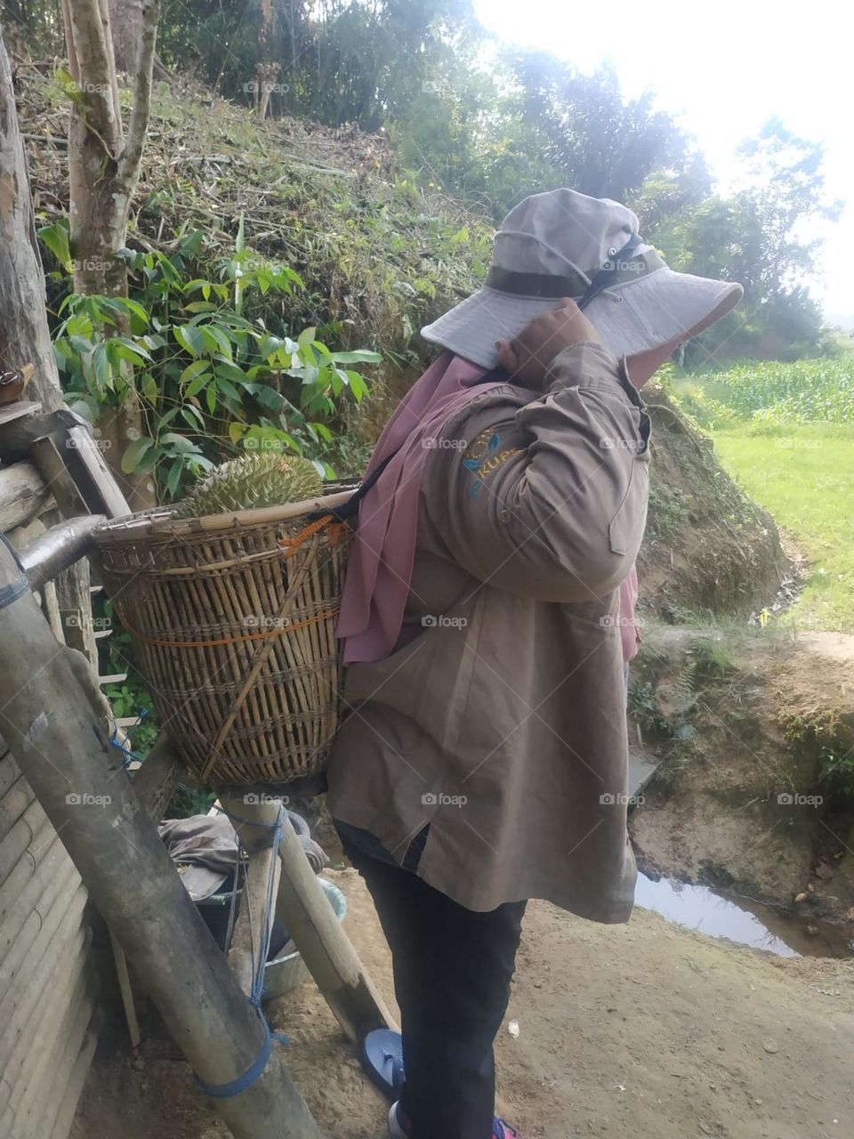 The woman was carrying a kinjagh filled with durian fruit from a durian farmer's garden last August 2022 in Indonesia.