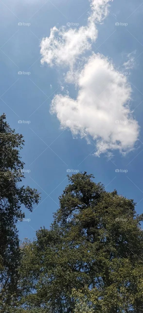Sky and clouds