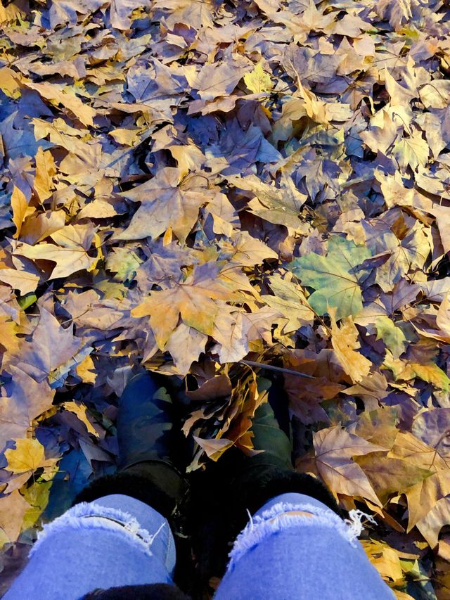 Summer ends..