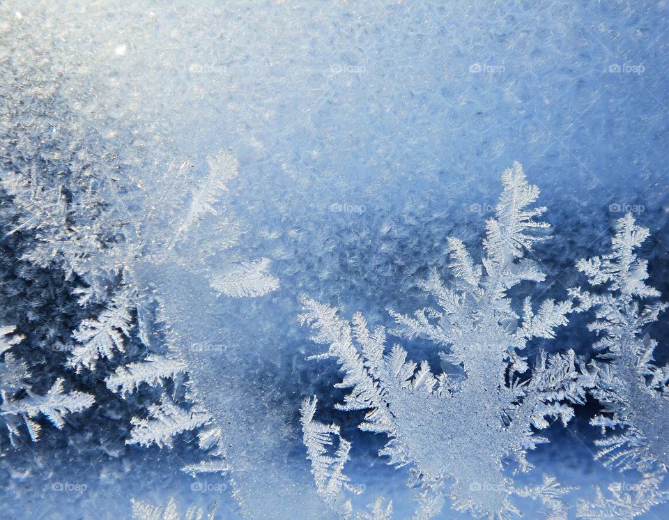Close-up of frost on a window