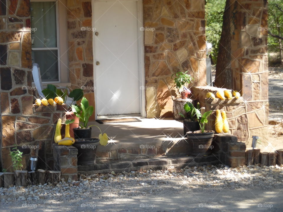 squash a licious. This is a picture I took while traveling down the road this morning. 👣 🚶 🏃 🔥 💨