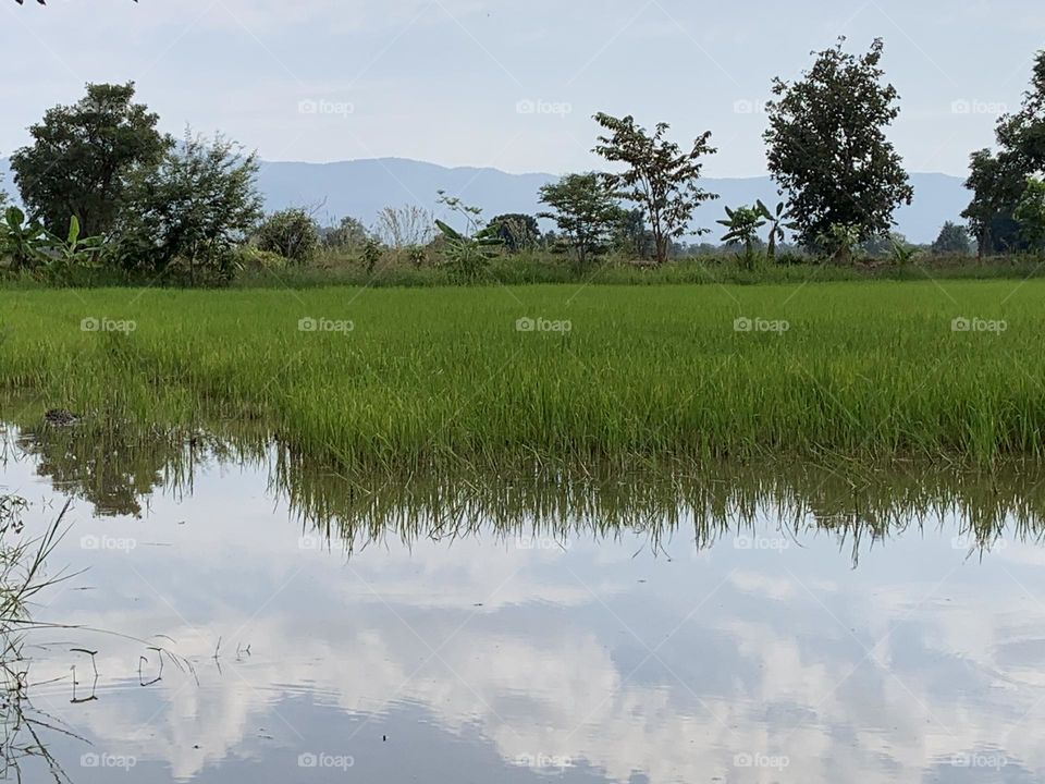 Editors ‘ choice : Photo of the week, Countryside. 