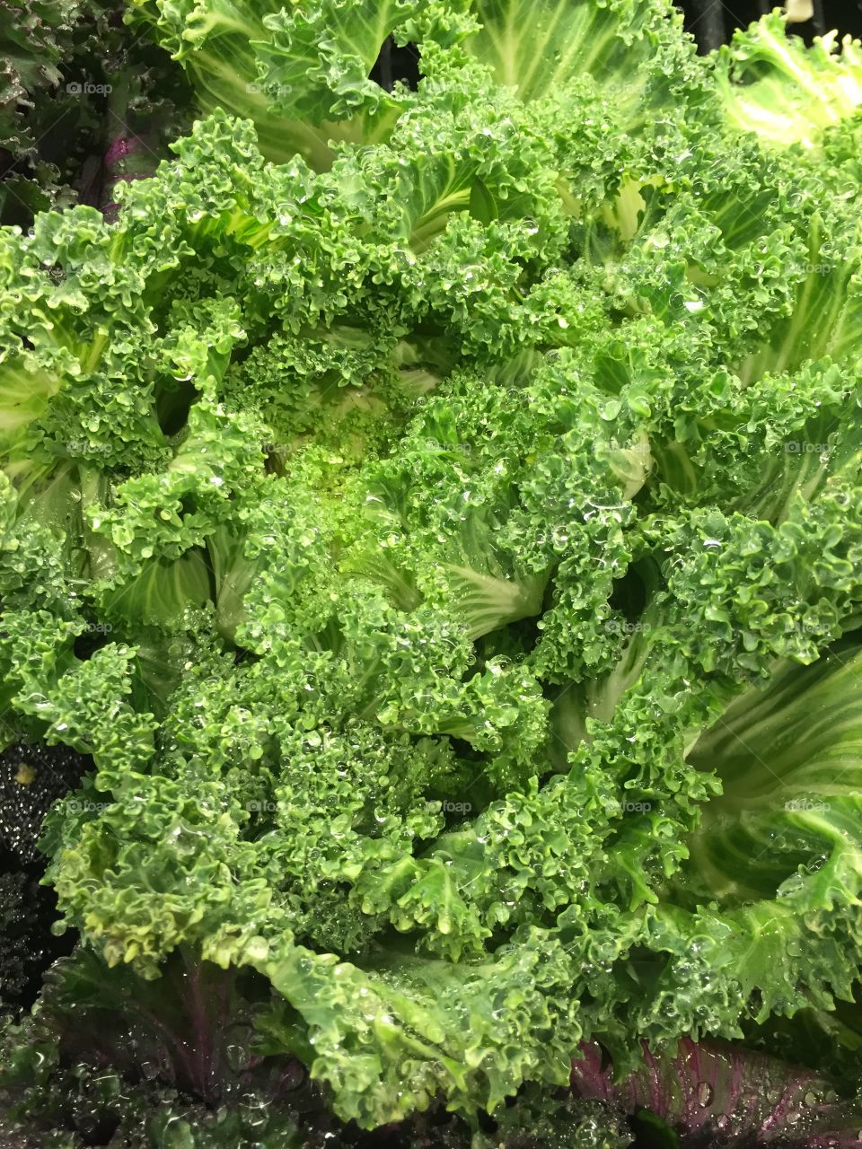 Green leafy vegetables