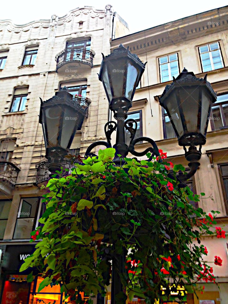 Lamp in Budapest! 