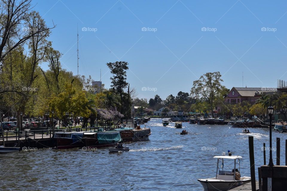 Tigre Argentina