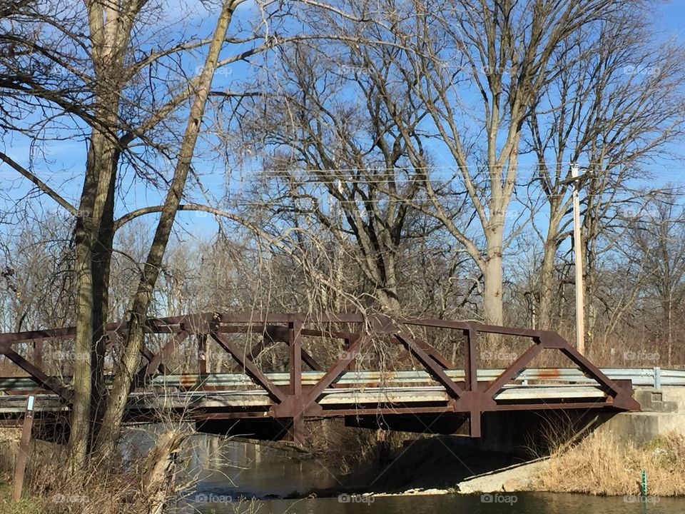 Bridge in Forest on my favorite hiking trail near my Ohio home