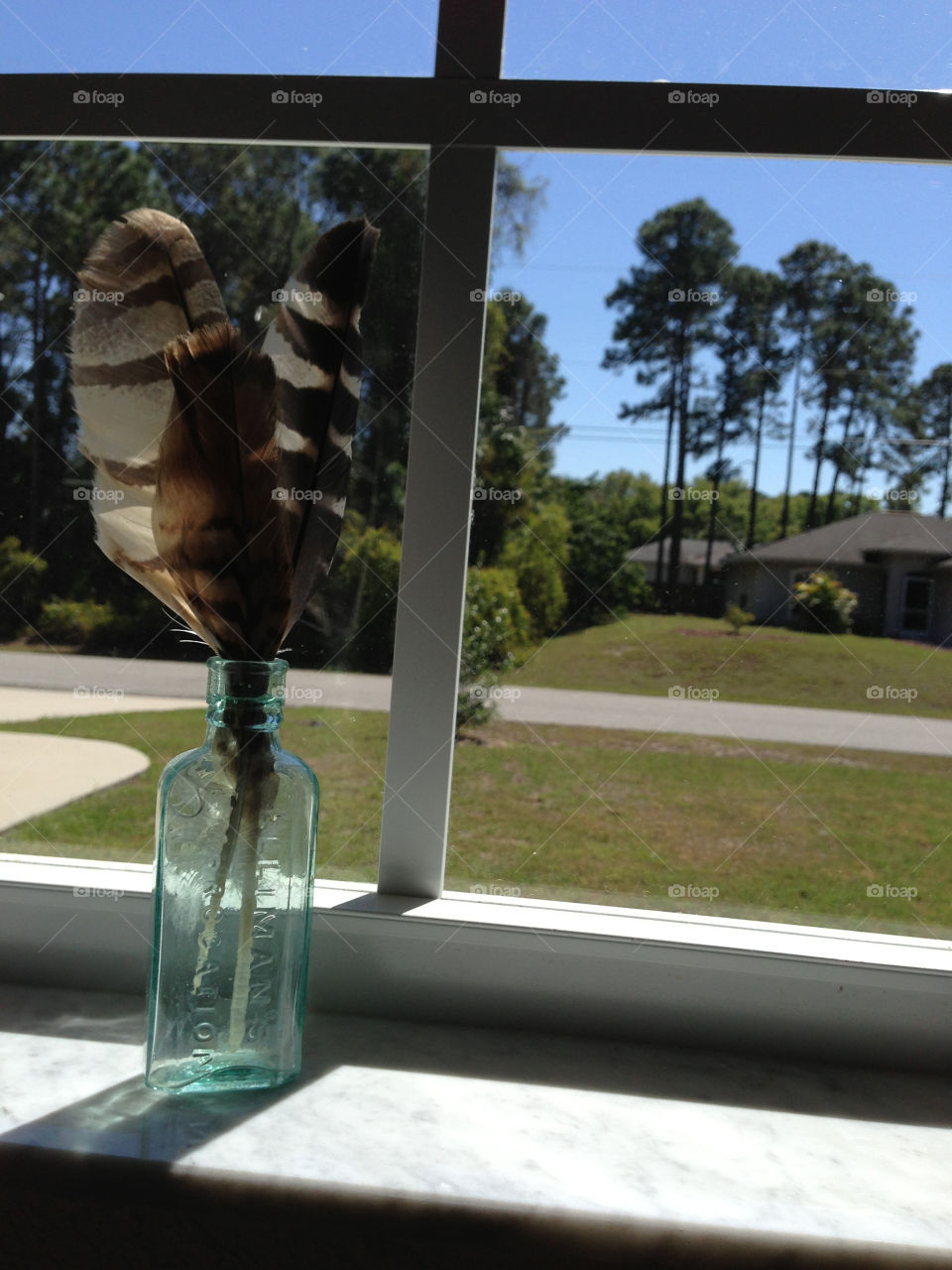 Feathers in old medicine bottle