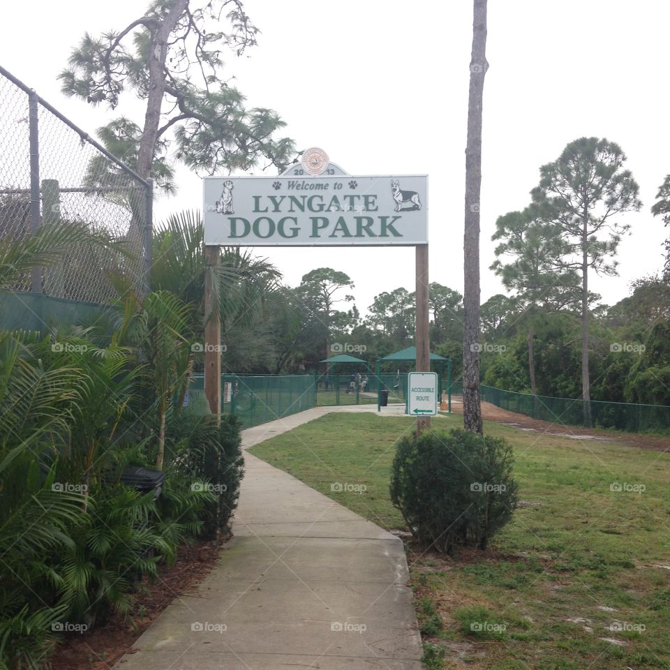 Dog park 