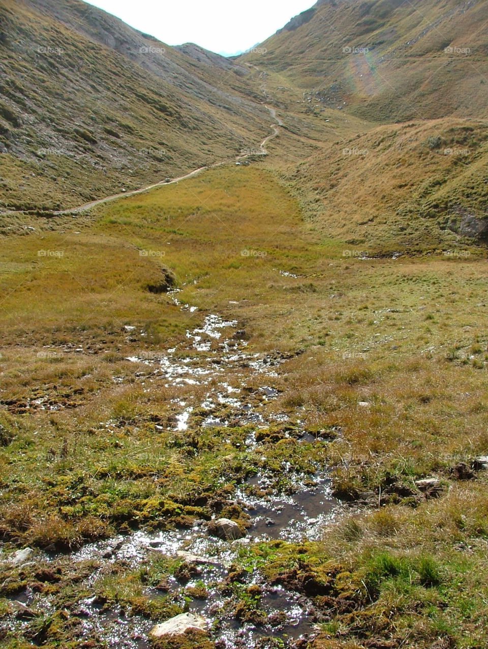 mountain alp carnia river stram by uolza