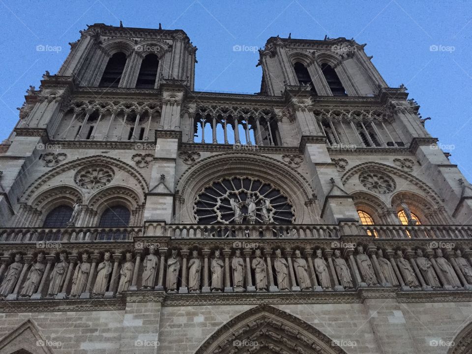 Notre Dame. Paris