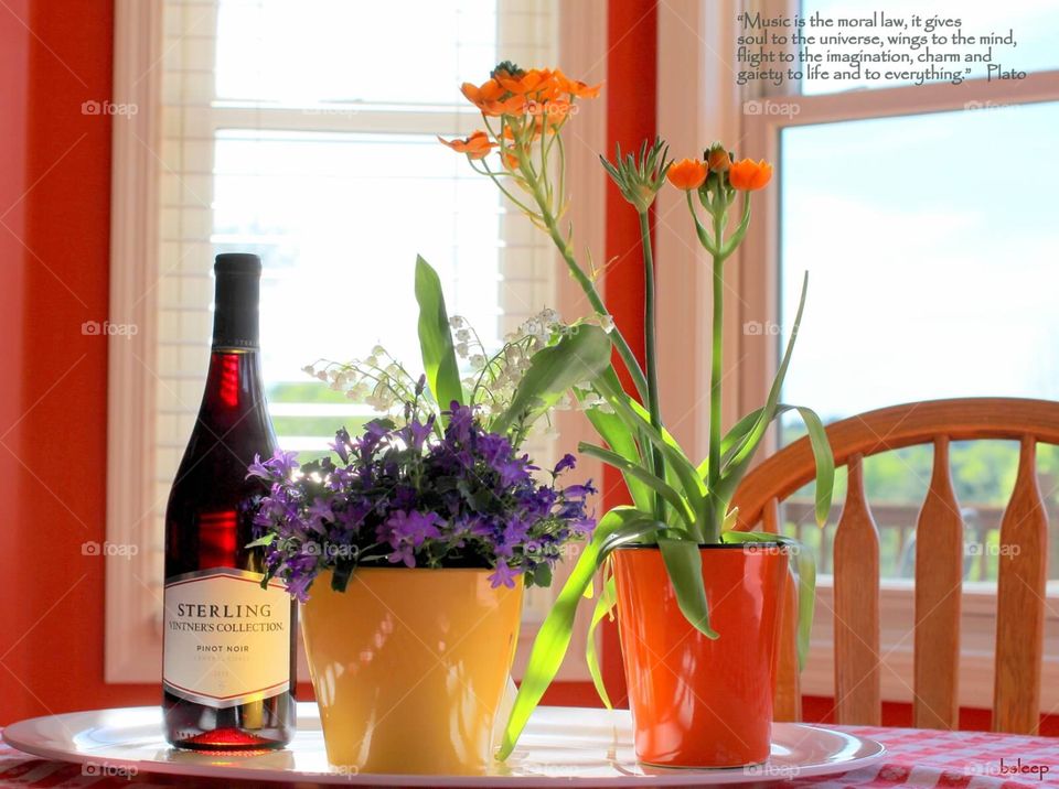Wine & Flowers