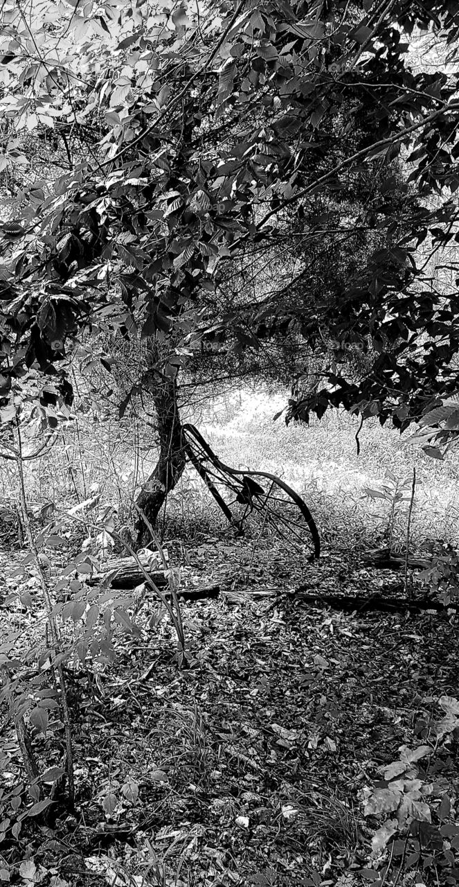 Old, Bent, and Forgotten