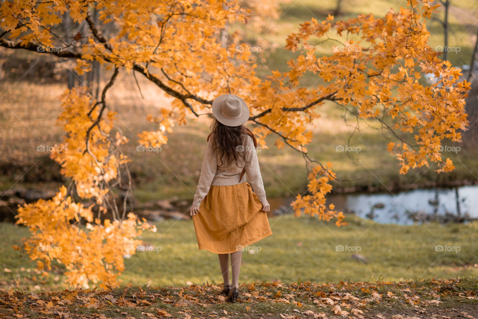 Autumn colors