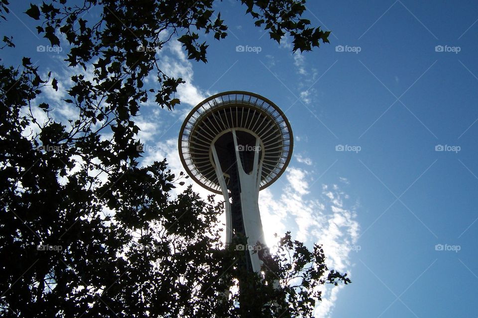 space needle. space needle