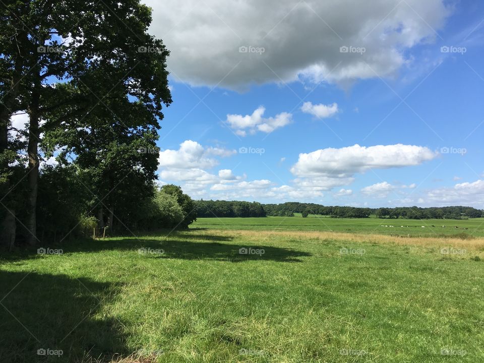 Blue sky above northern German fields