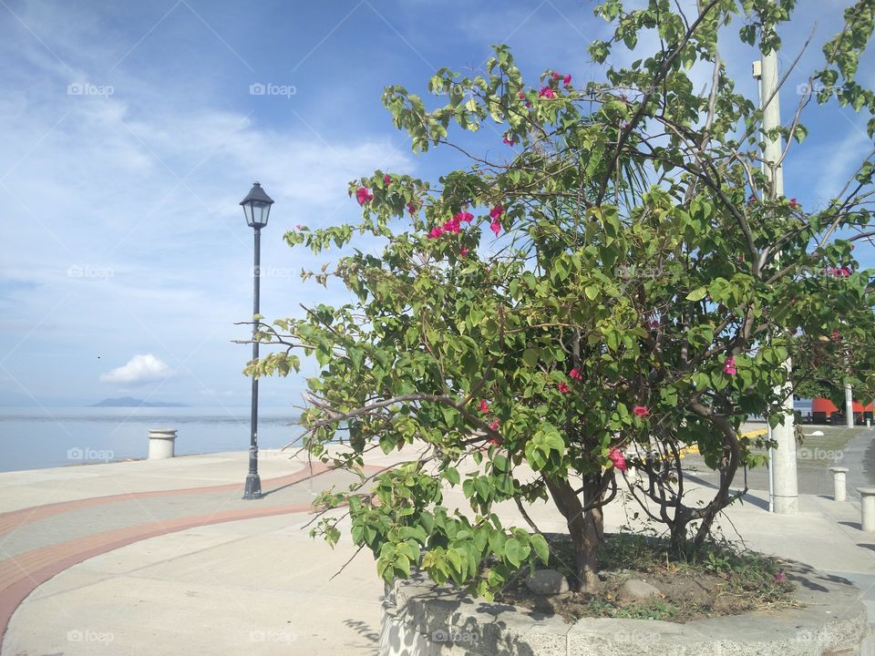 puntarenas