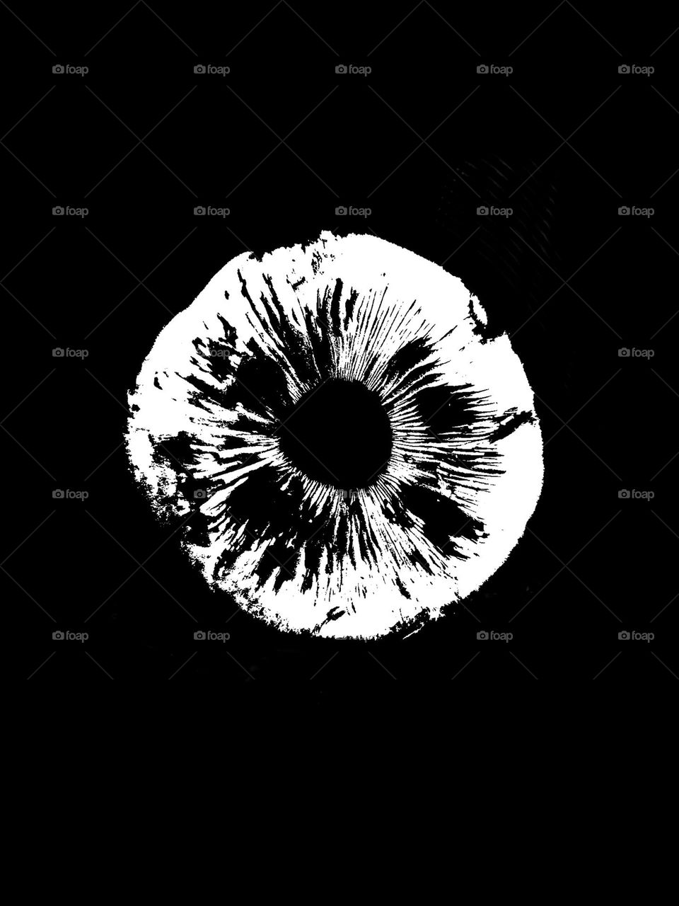 White mushroom print on the black background. Real wild mushroom spores print