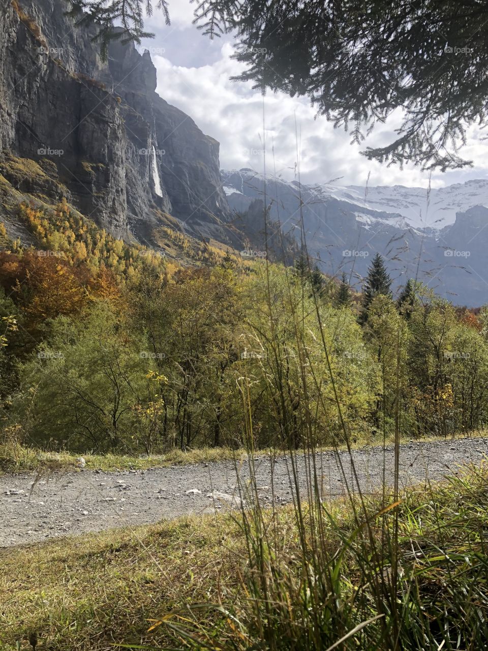 Sixt fer à cheval autumn scenery