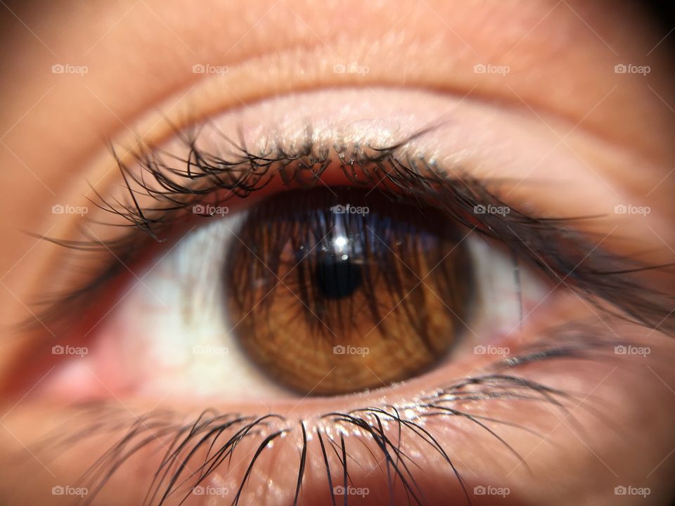 Detail of human eye