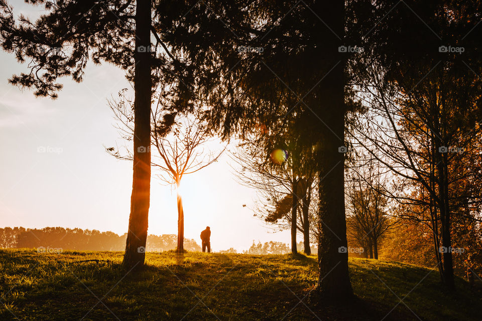 Morning Walks