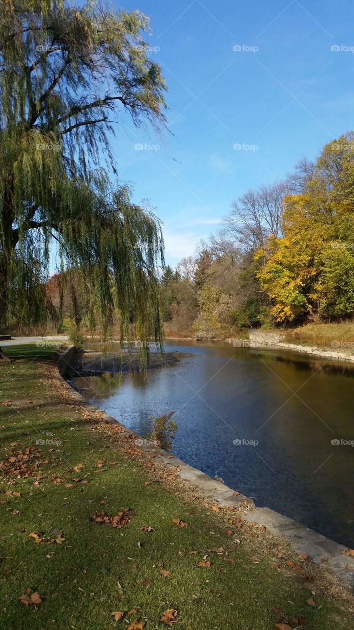 Park Stream in Autumn